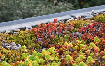 the cost of Austwick green roof installation