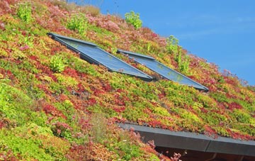 Austwick living roof systems
